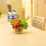 Rosa Apartamento Loft One 202 A