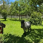 Vacanze - Vila Gramado