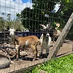 Vacanze - Vila Gramado