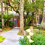 Apto Lindo E Completo Com Piscina E Jacuzzi
