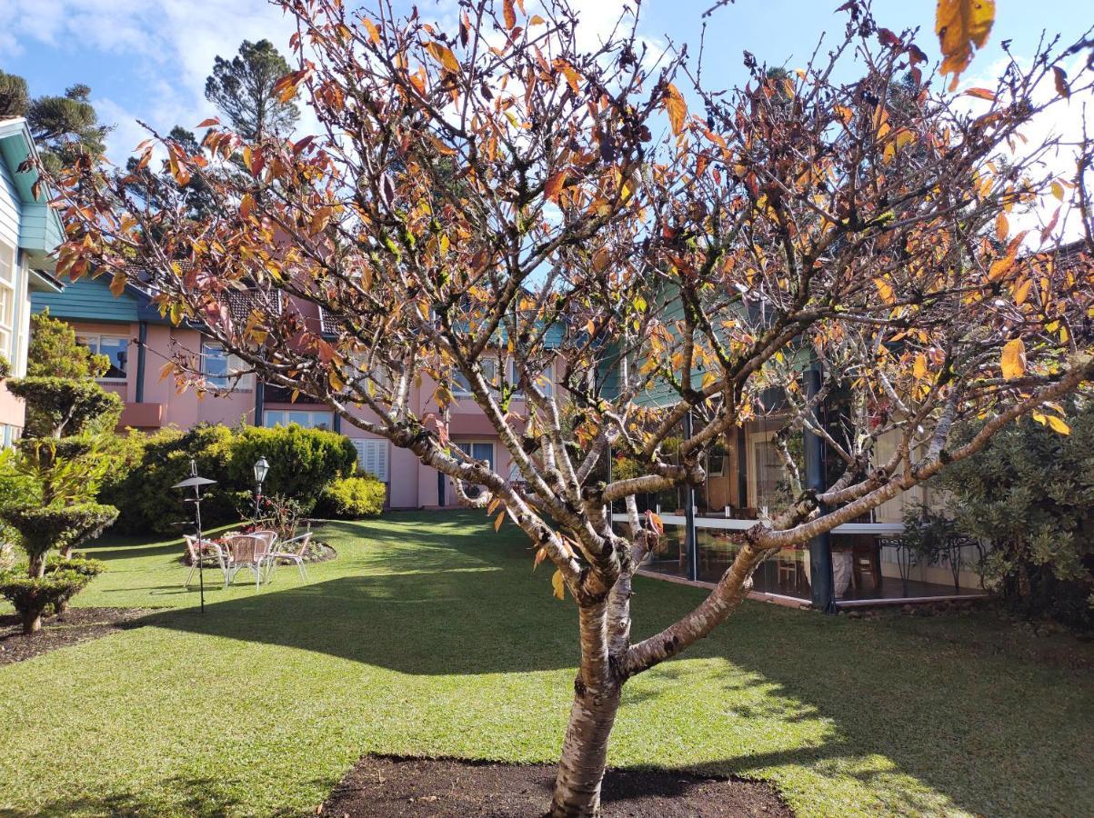 Agradavel 2quartos Familia Prox Ao Negro - 4 Min Do Centro- Com Churrasqueira Apartamento