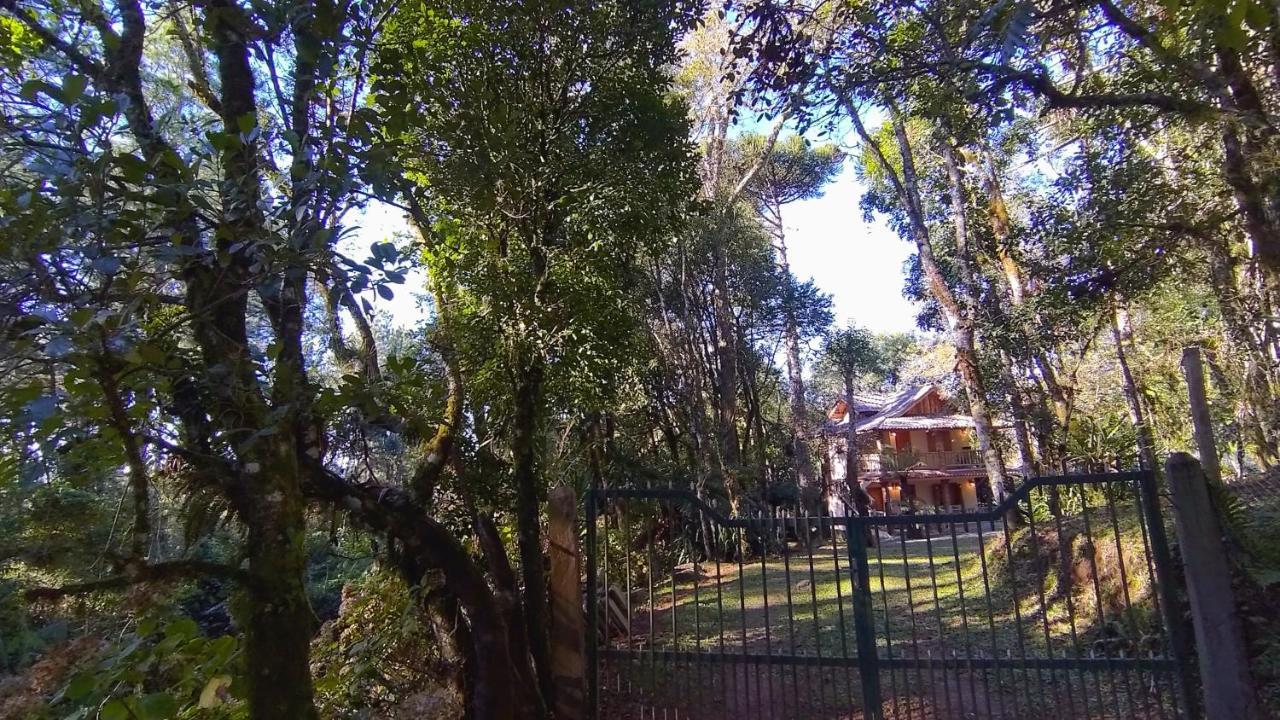 Drechsler * Gramado
