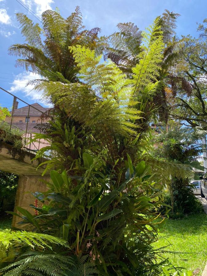 Casa Da Vo Diva No Centro De * Gramado