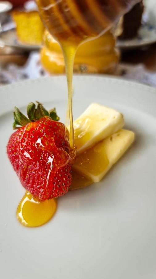 Hotel Giardino Di Pietra 3*