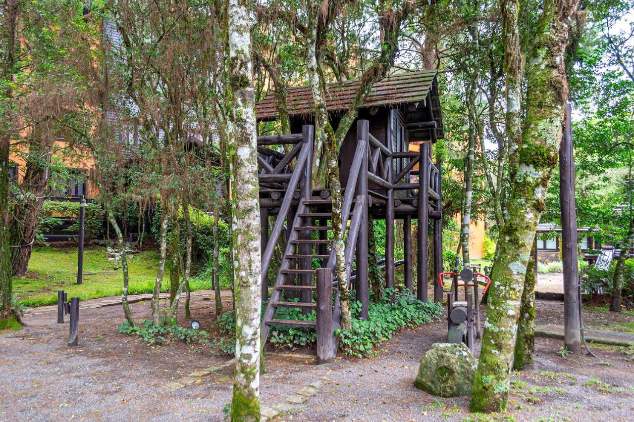 Knorrville 203 * Gramado