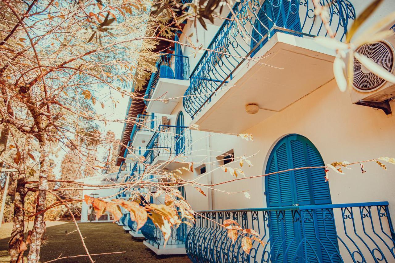 Palace 3*