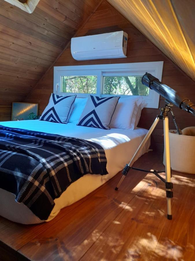 Nambu - Exclusive * Gramado