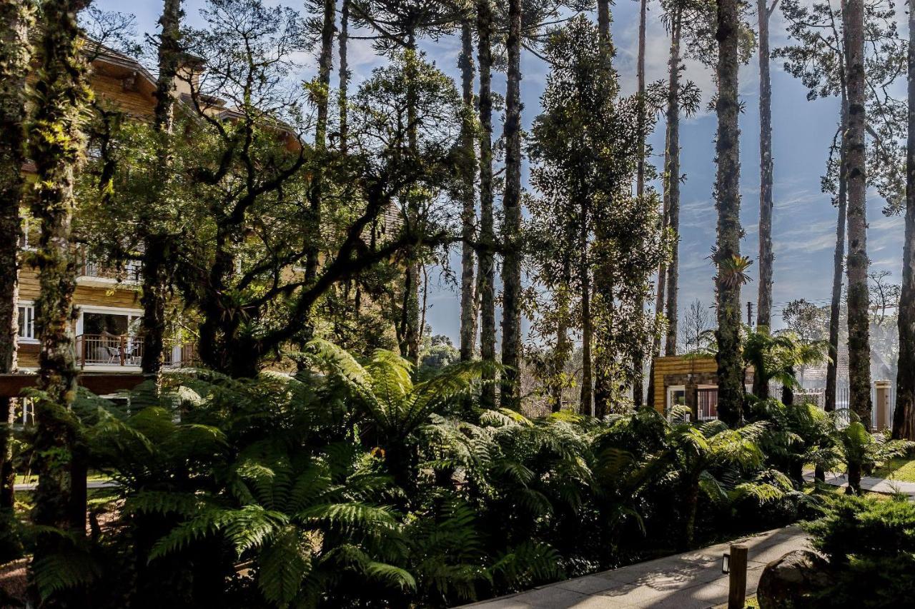 Apartamento Cobertura Duplex Com Piscina Aquecida, Proximo Aos Museus Gramado