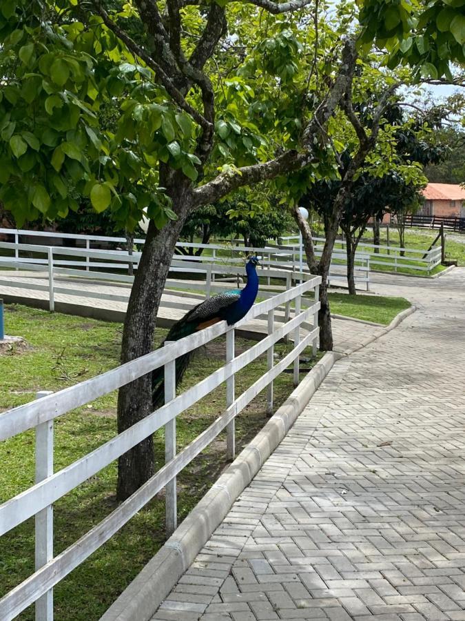 Vacanze - Vila *