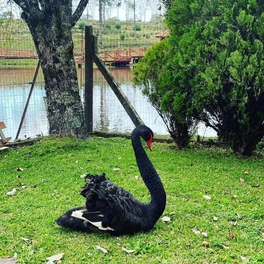 Vacanze - Vila Chalé *