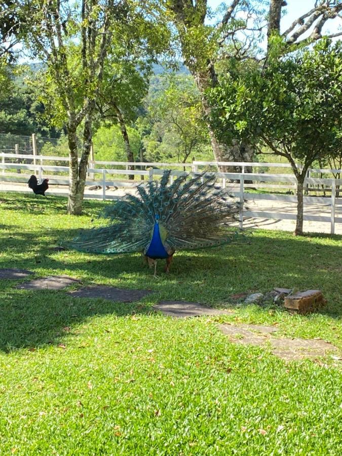 Vacanze - Vila Gramado