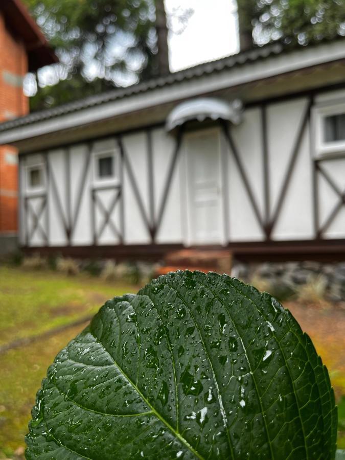 Foss Gramado