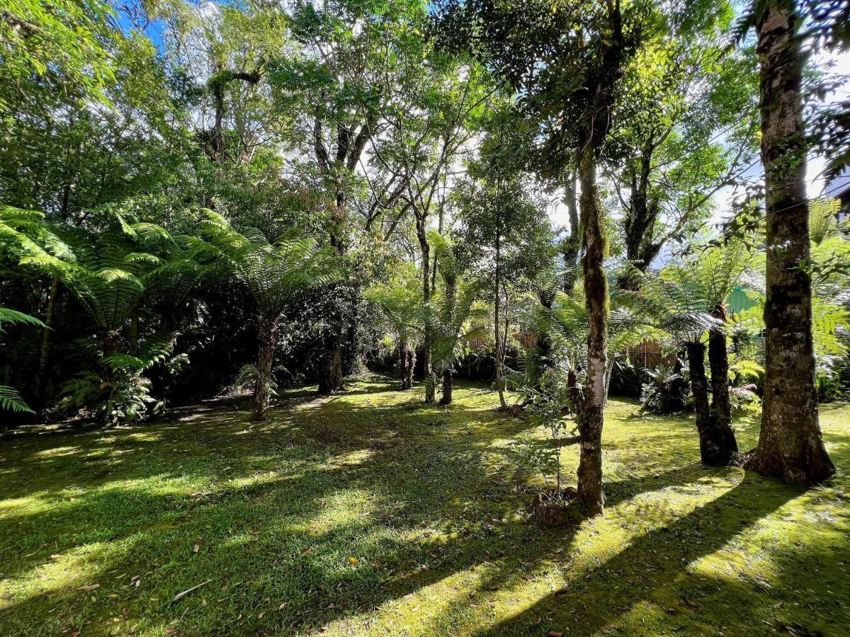 Com A Natureza No Centro By Achei