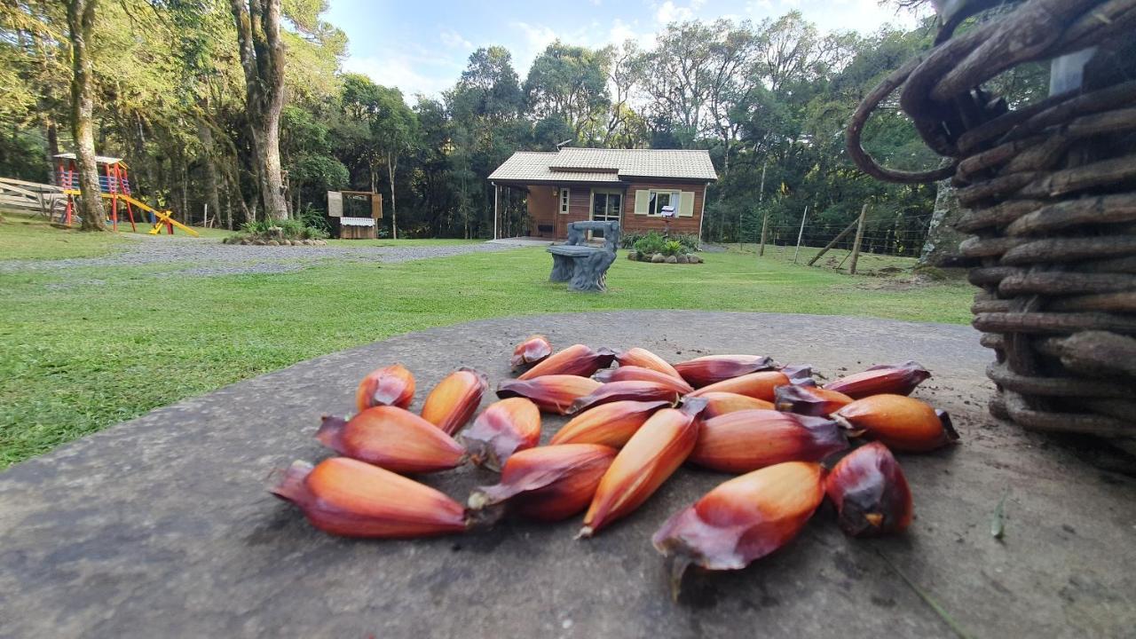 Sitio Recanto Feliz Gramado