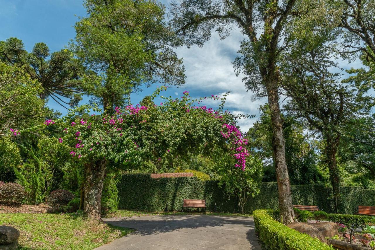 Monte Felice Bosque Gramado