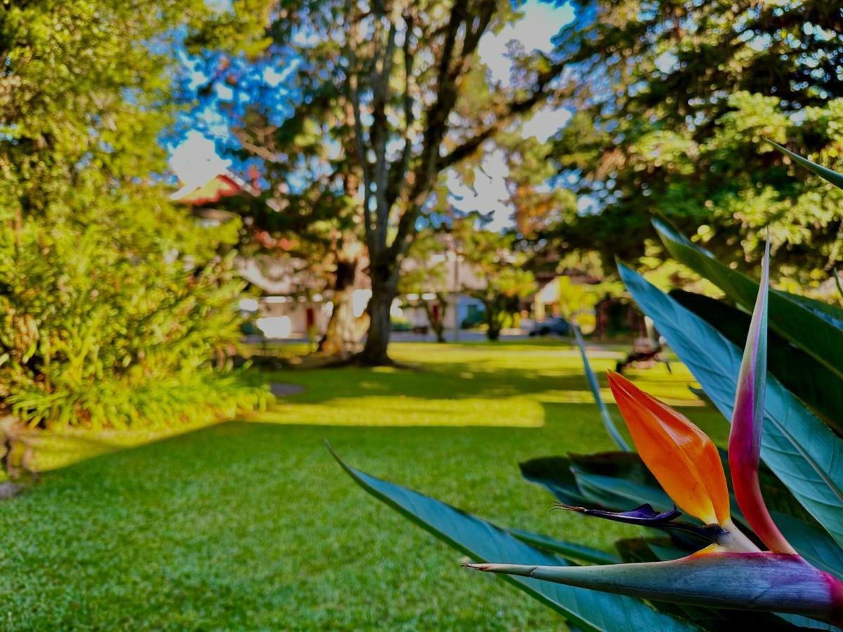 Natur Hotel Gramado