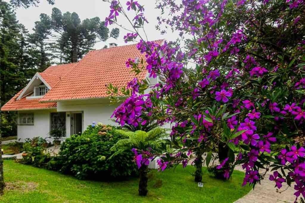 Casa Acolhedora A 300m Do Negro Casa de férias