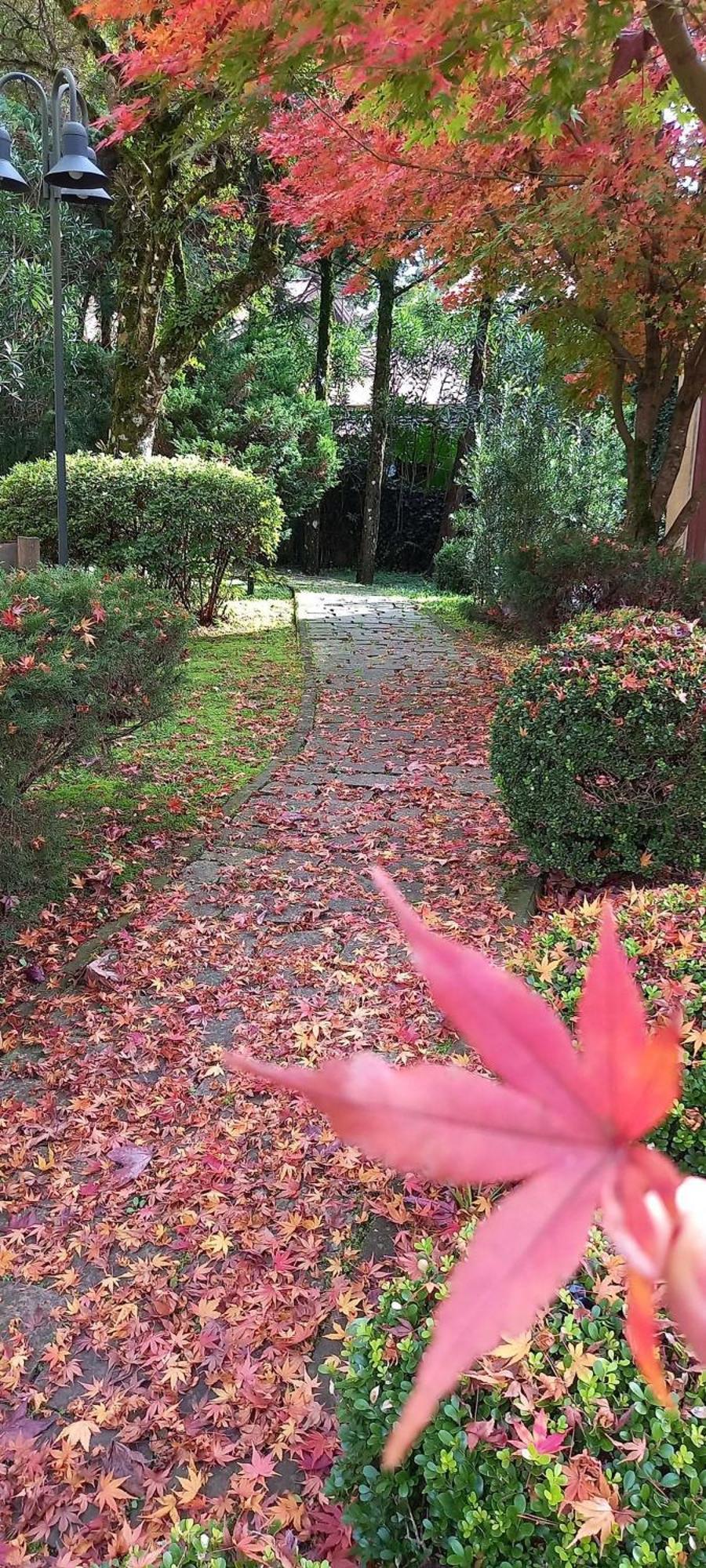 Estacao Das Hortensias, Seu Aconchego Em Apartamento