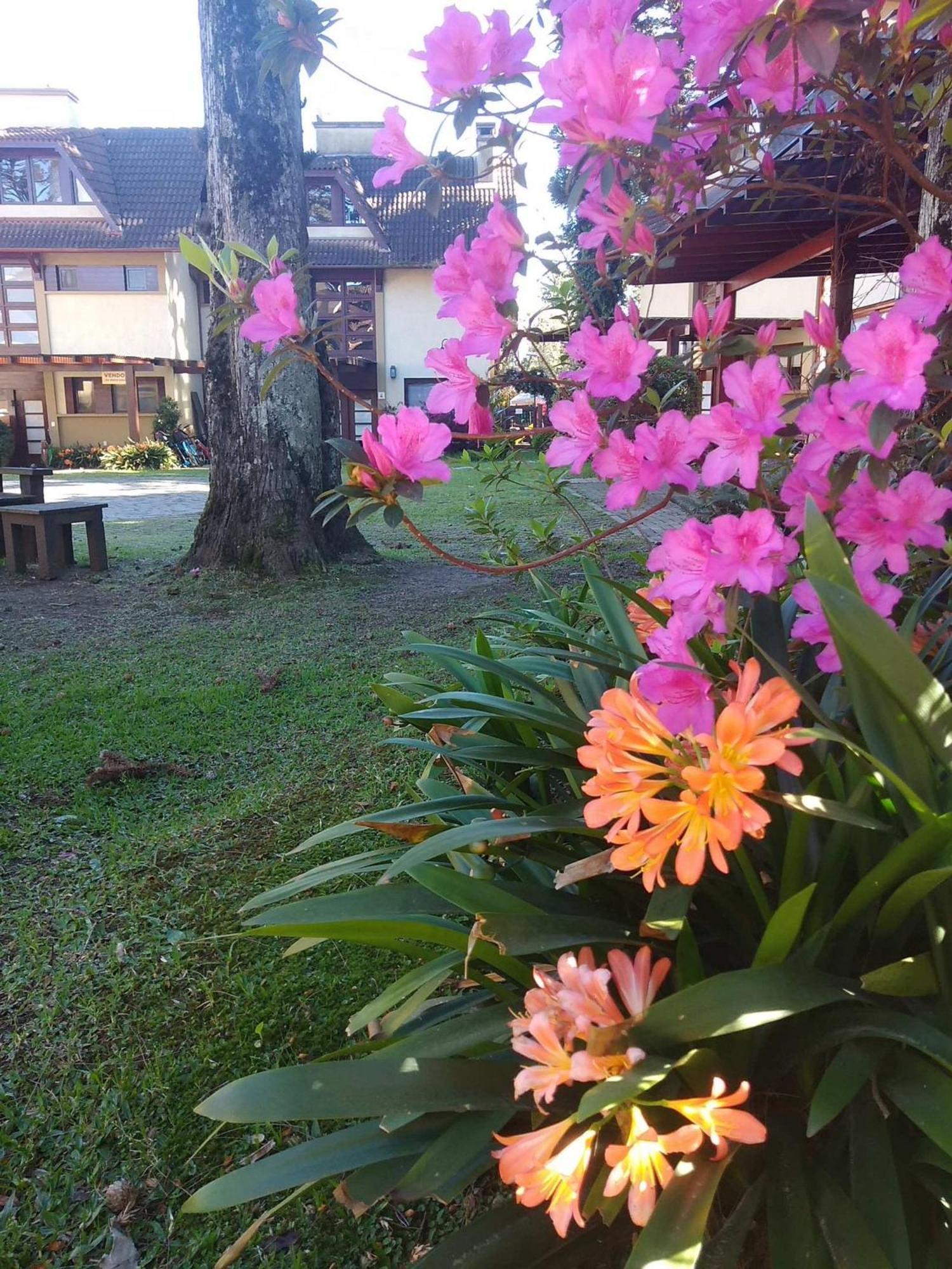 Estacao Das Hortensias, Seu Aconchego Em Apartamento *