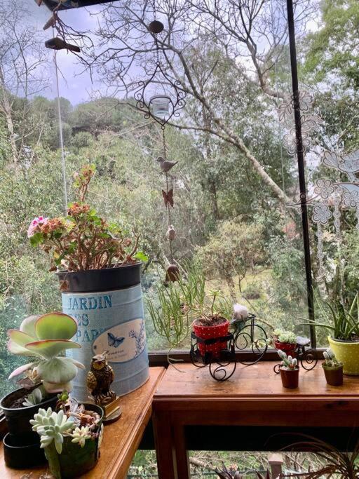 Apartamento Recanto Dos Passaros Gramado