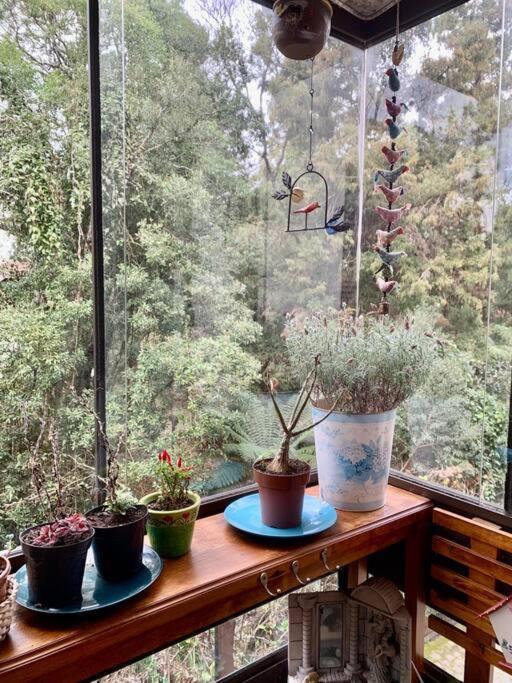 Recanto Dos Passaros Apartamento