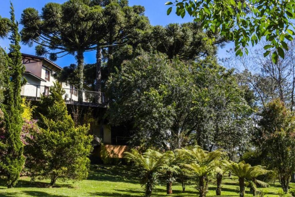 Duplex No Flat Do Wish Serrano Gramado