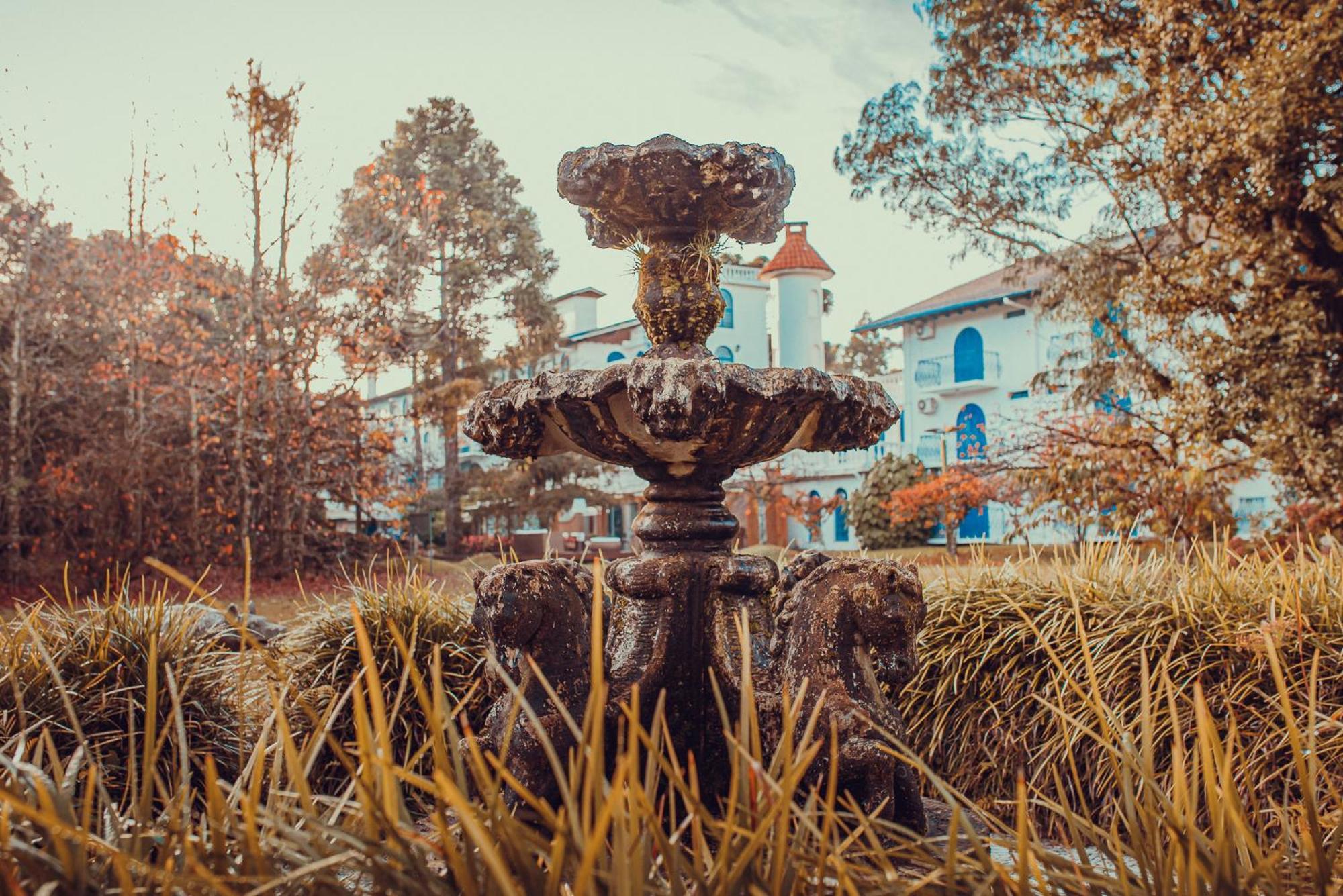 Hotel Palace