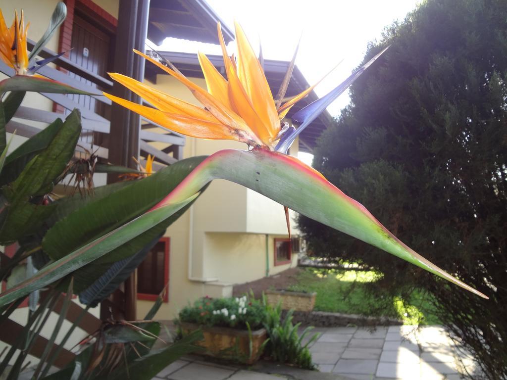 Pensão Floratta Nossa Casa