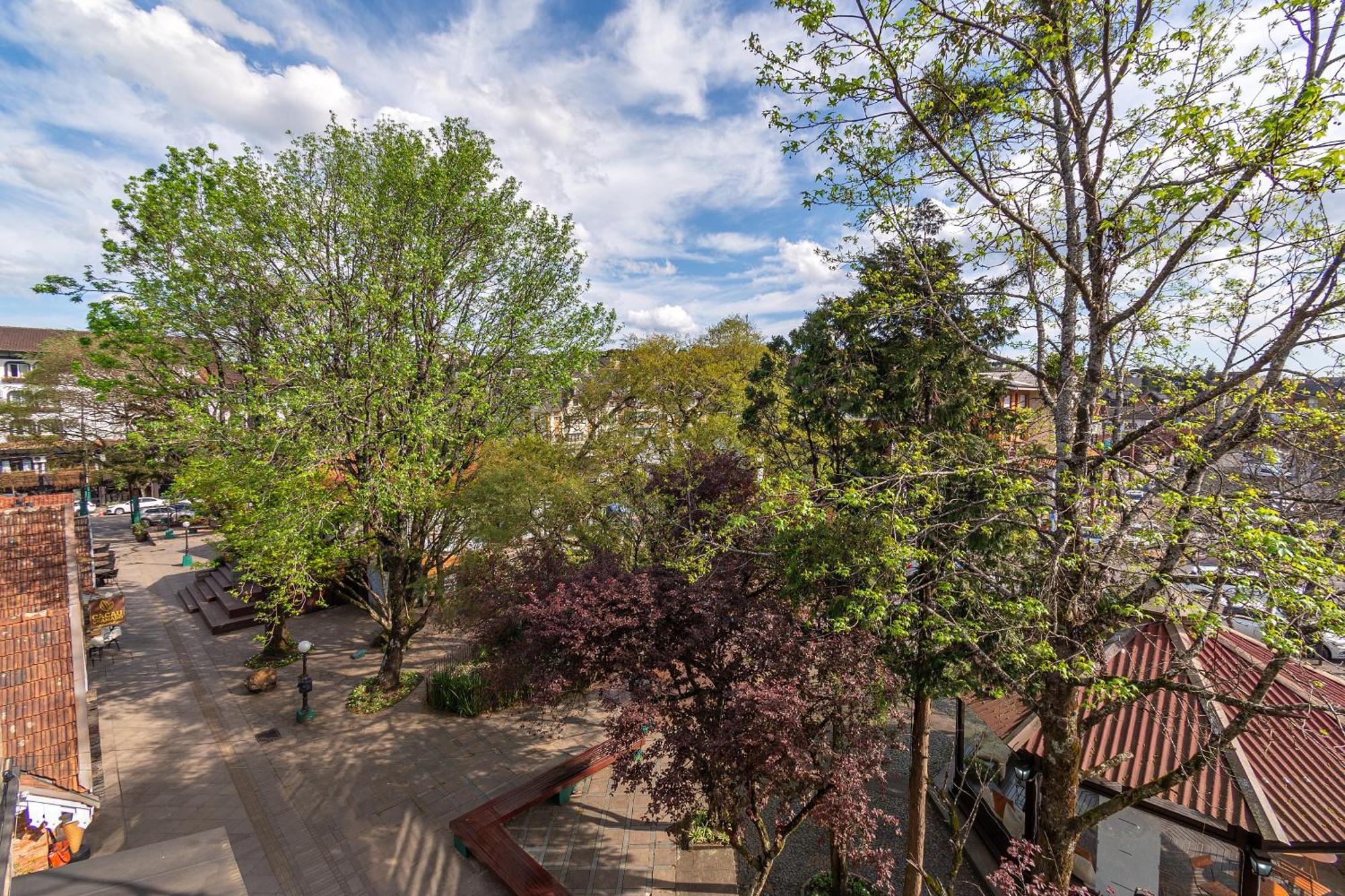 Apartamento 3 Quartos Na Incrivel Localizacao De Gramado