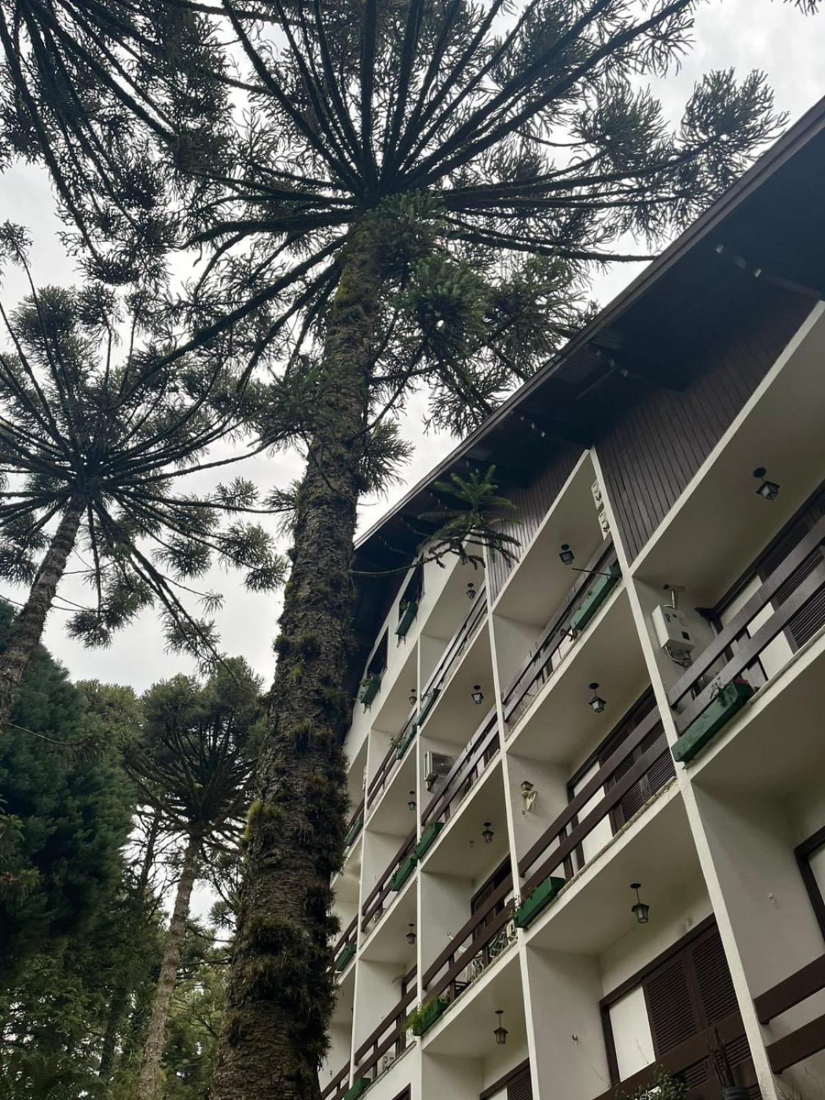 Apartamento Negro