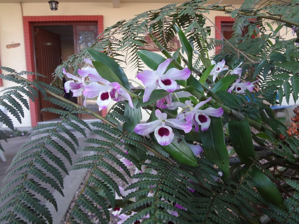 Floratta Nossa Casa 2* Gramado