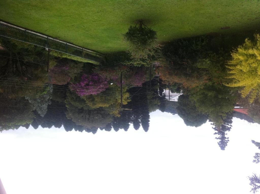 Hotel Monte Felice Bosque 3*