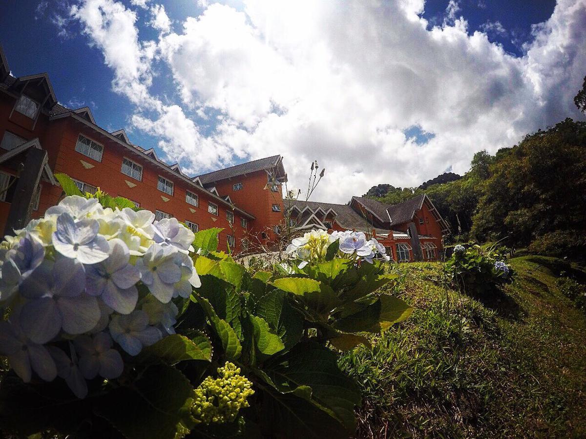 Renascenca Gramado