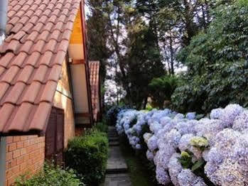 Pensão Jardim De Flores 3*