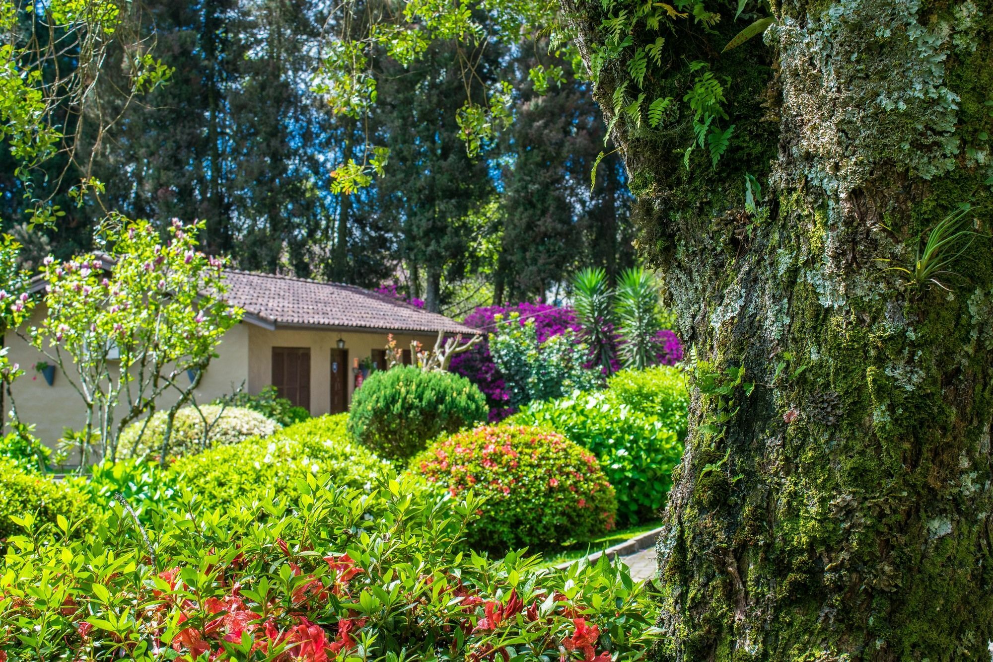 Fioreze Quero Quero Gramado