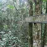 Sítio Aurora Gramado