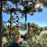 Lof Araucarias Prox Rua Coberta By Achei Gramado