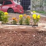 Cantinho do Vale