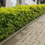 Apartamento em Gramado