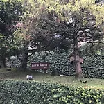 Luar de Inverno