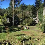Pensao Da Lili
