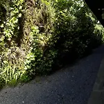 Kit net de Temporada em Gramado