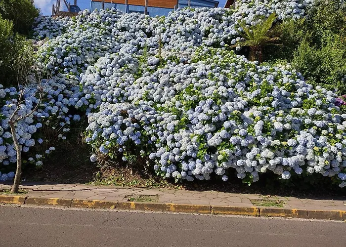 Espaço Glass