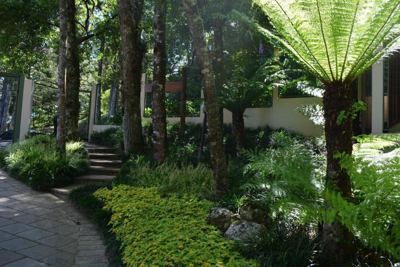 Locar-in - Residencial Maranello