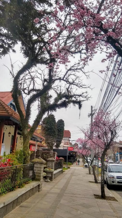 Apto So Seu Apartamento Gramado
