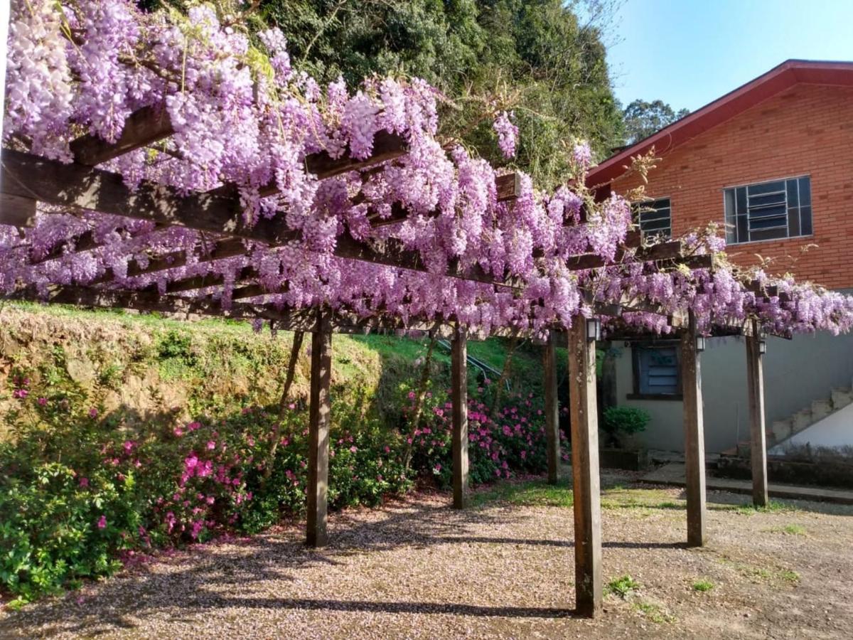 Aromas Pensão 2*