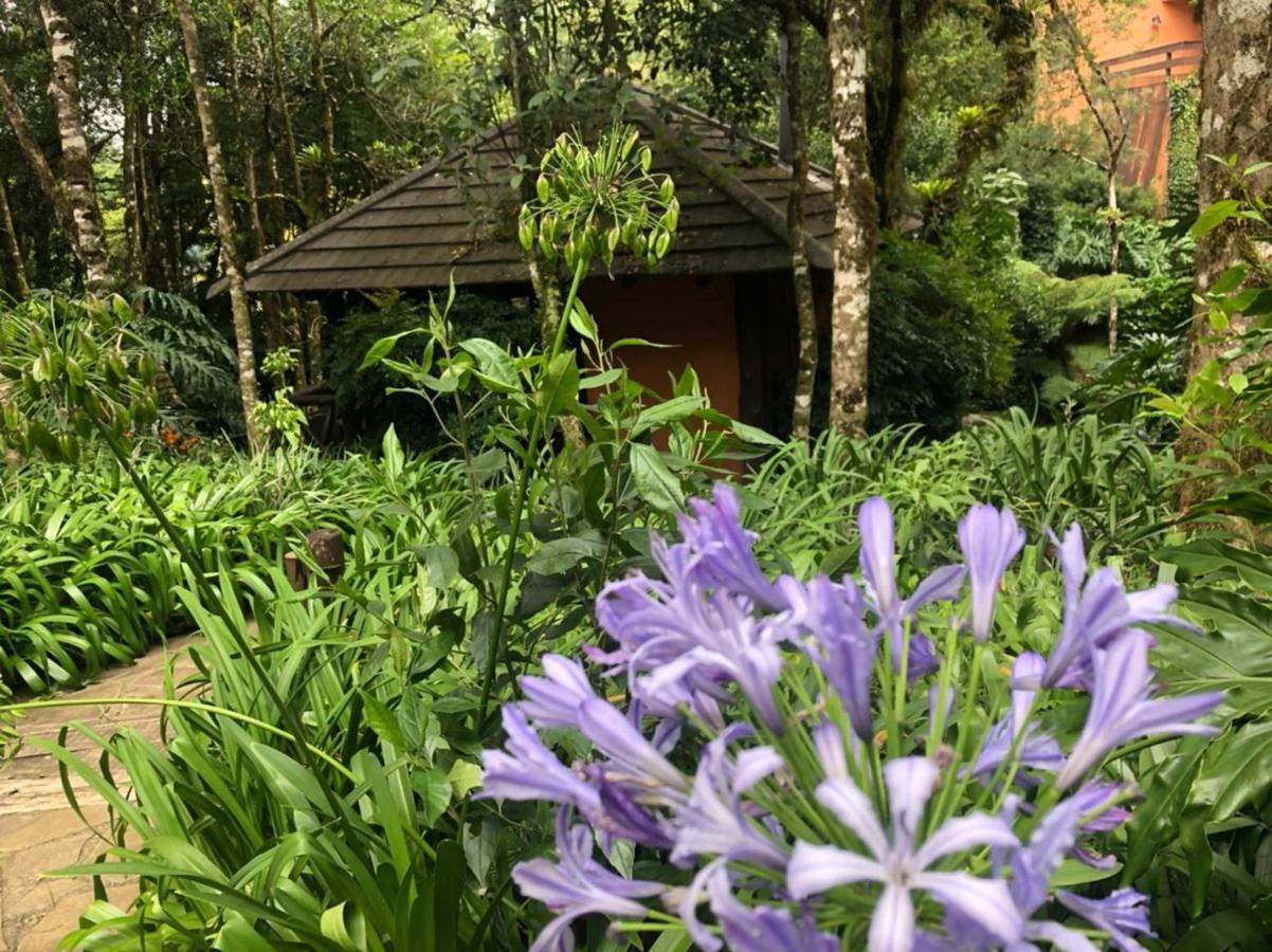 Apartamento Gramado