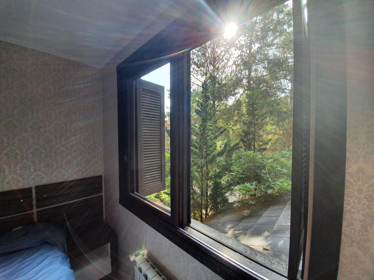Aconchegante Apartamento Em Estilo Classico Em Apartamento