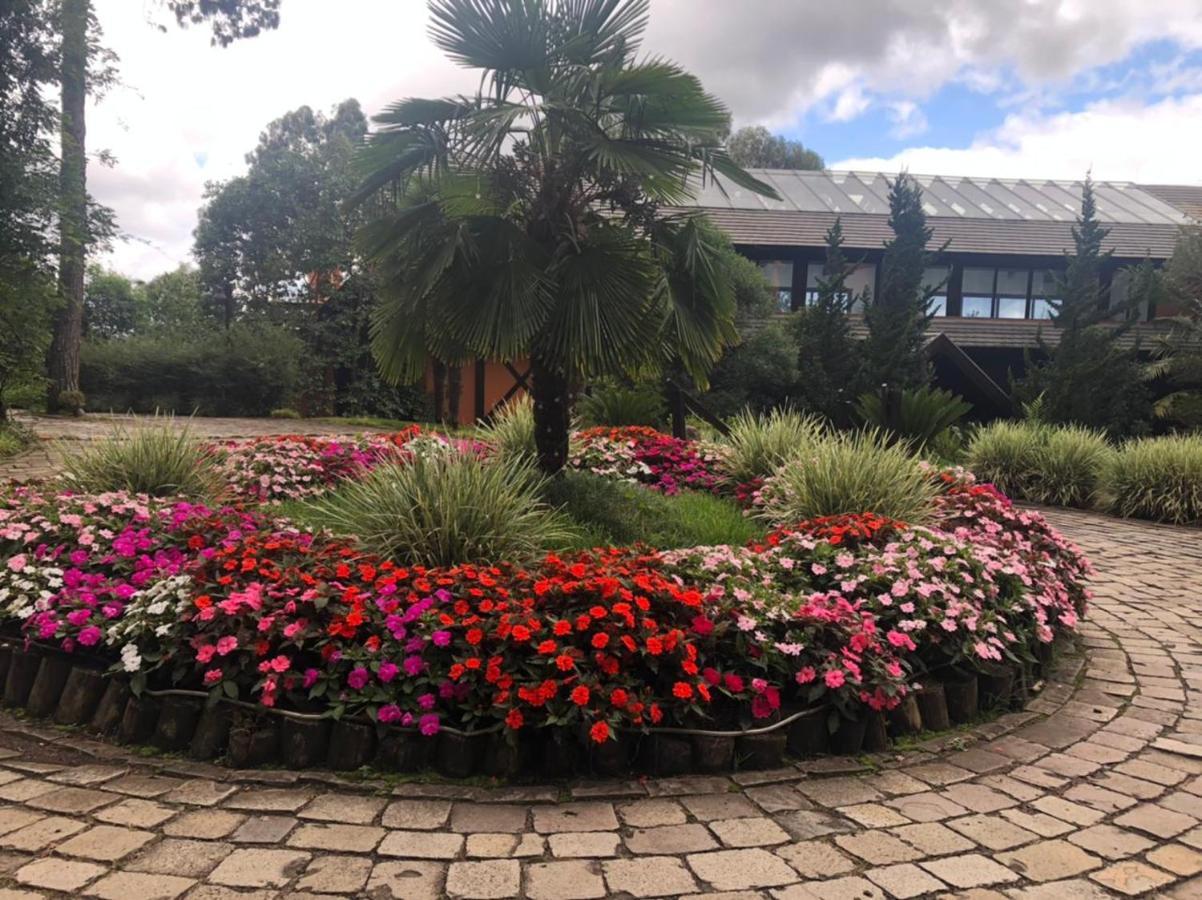 Apartamento Gramado