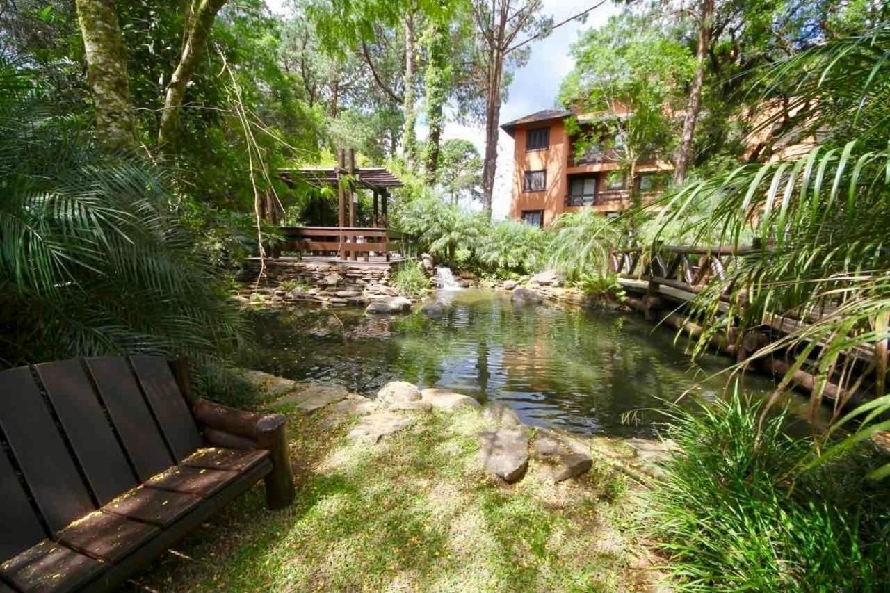 Apartamento Com Natureza No Centro *